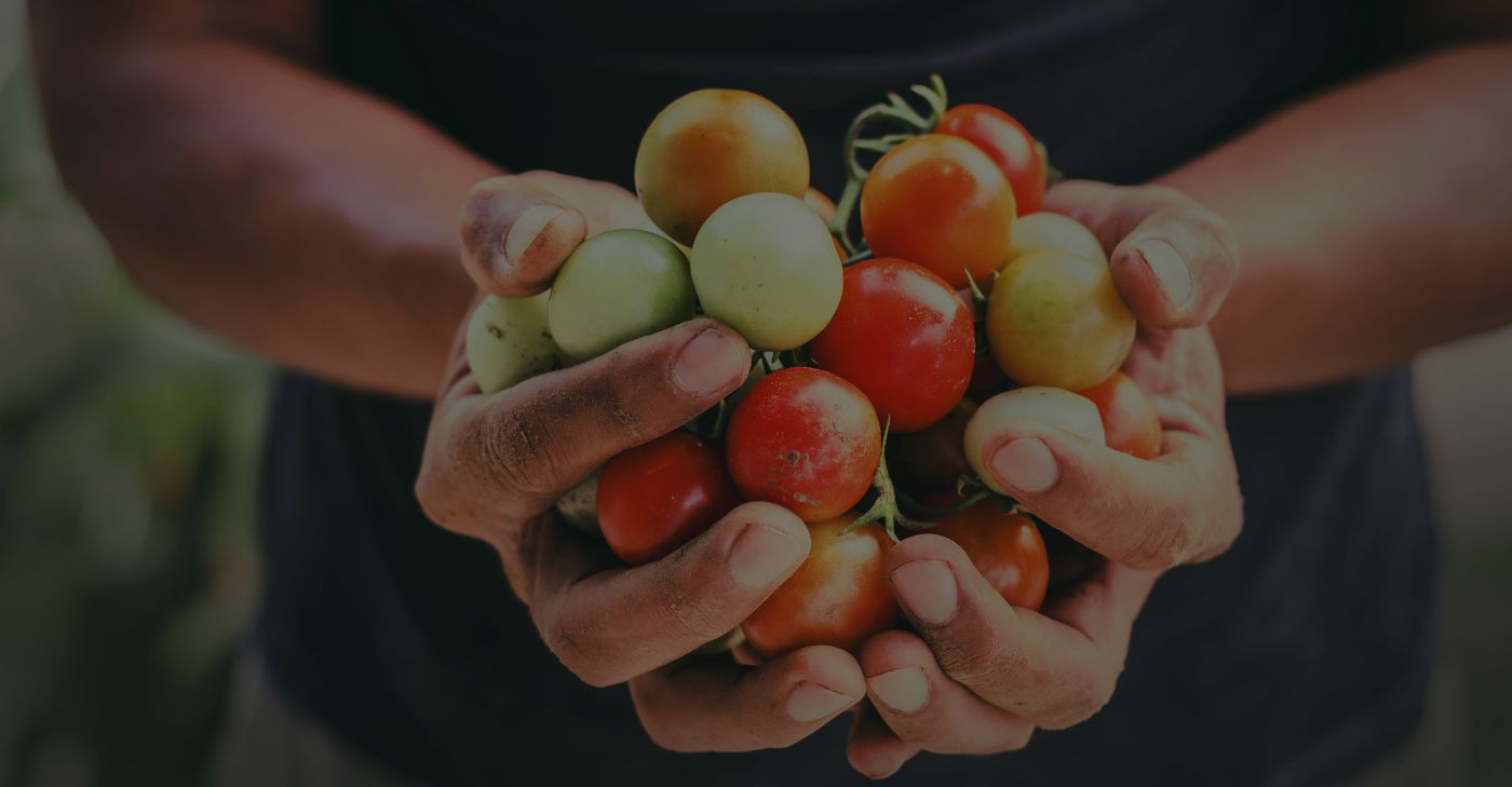 insieme per un cibobuono, pulito, giusto e sano