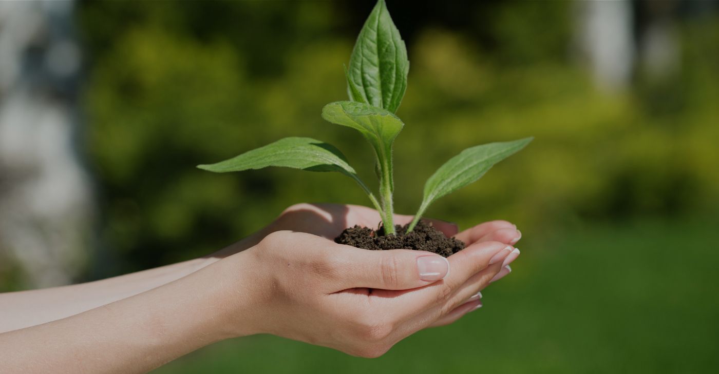 insieme per un cibobuono, pulito, giusto e sano